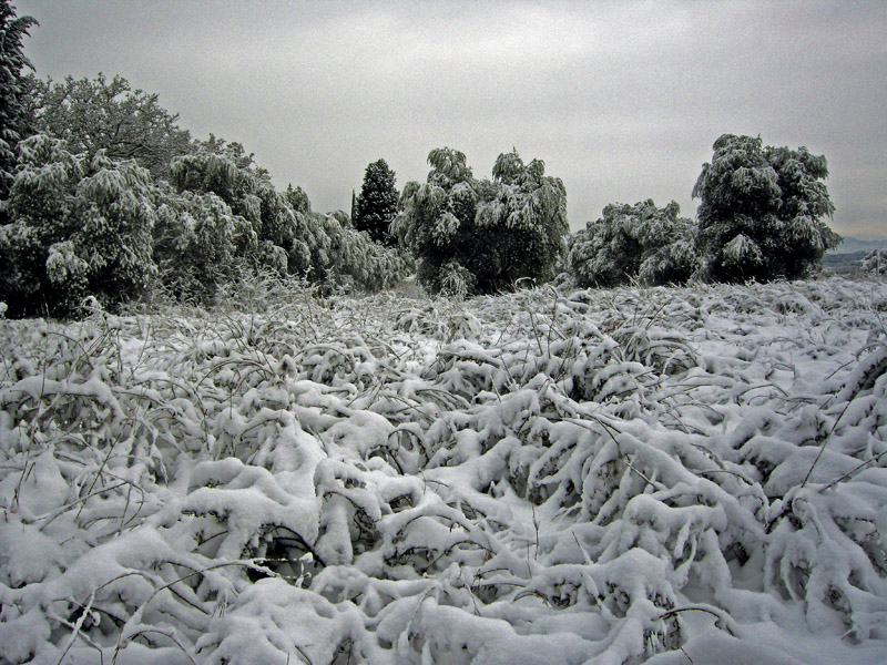 La magica atmosfera del Chianti innevato